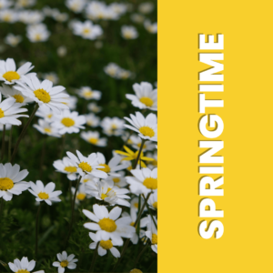 Springtime (Educational Tour)